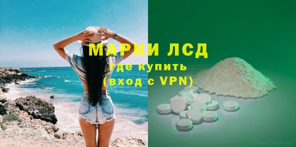 дживик Билибино