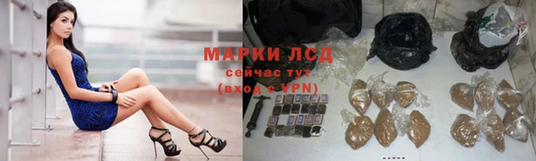 стафф Вяземский