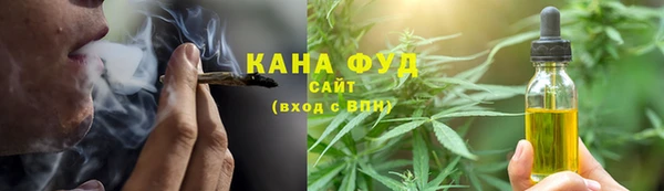 дживик Билибино