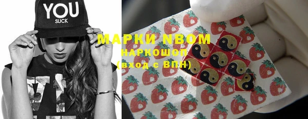 дживик Билибино