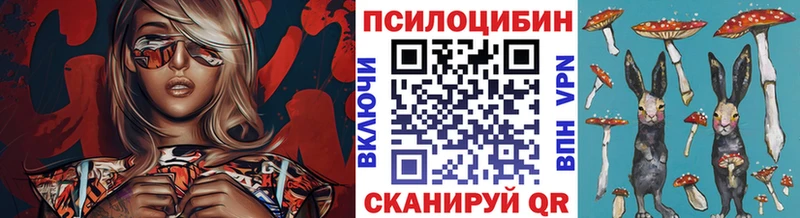 Галлюциногенные грибы прущие грибы  Галич 